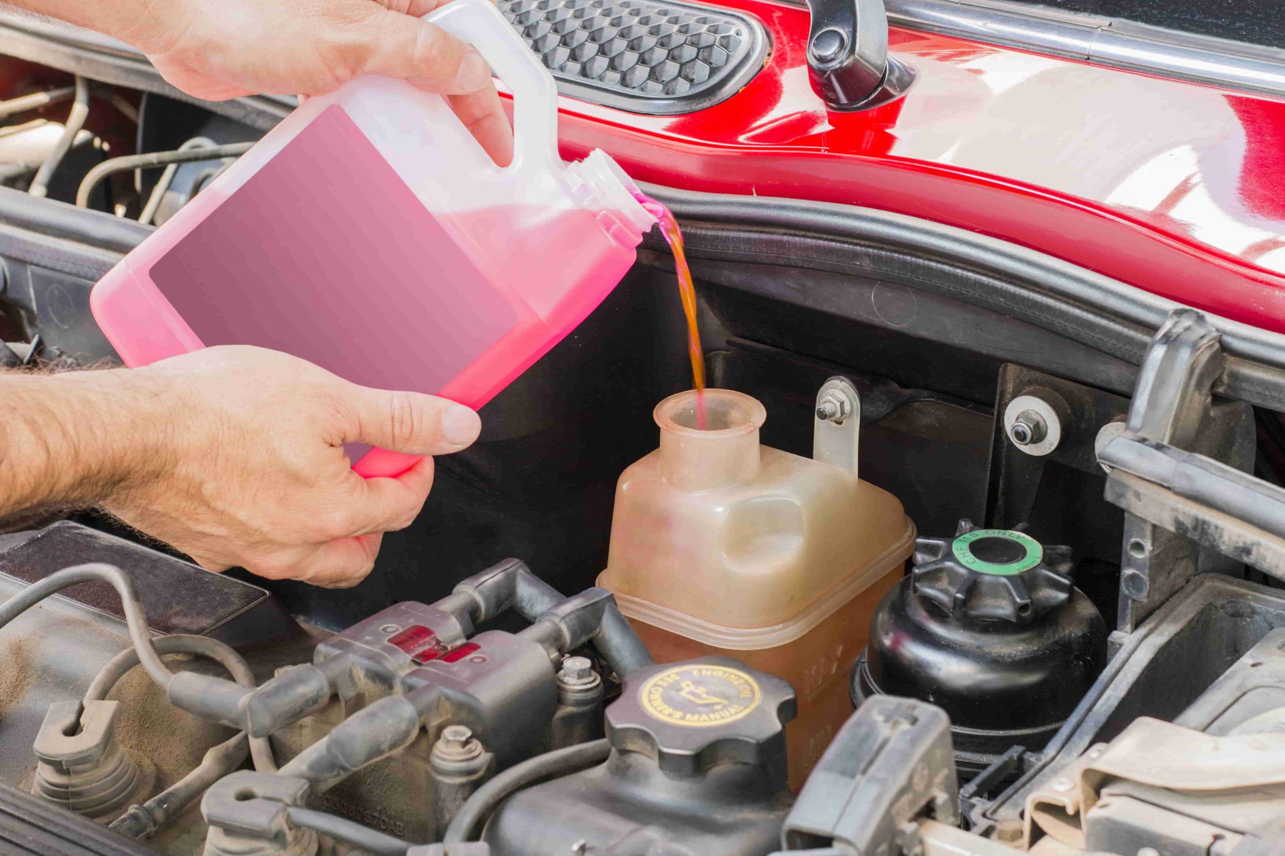 Ford Coolant Service
