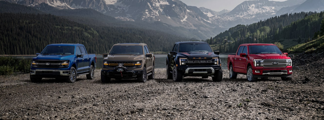 Ford F-150 models lined up in a lot